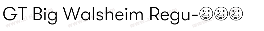 GT Big Walsheim Regu字体转换